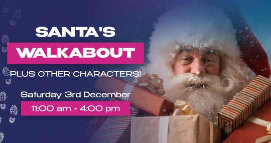 Father Christmas For Santa's Walkabout Web Banner